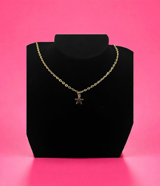 Gold necklace with a star pendant on a black stand against a pink background